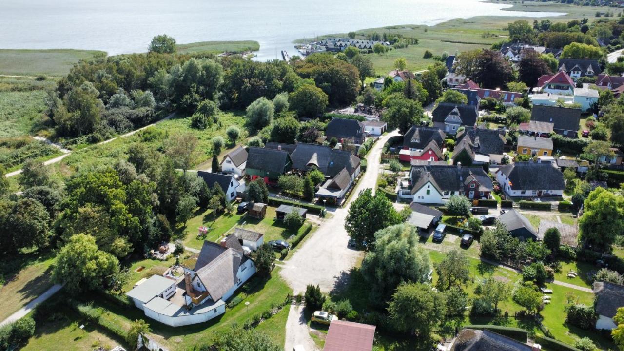Toepferweg 06 Ferienwohnung Tine Ahrenshoop Εξωτερικό φωτογραφία