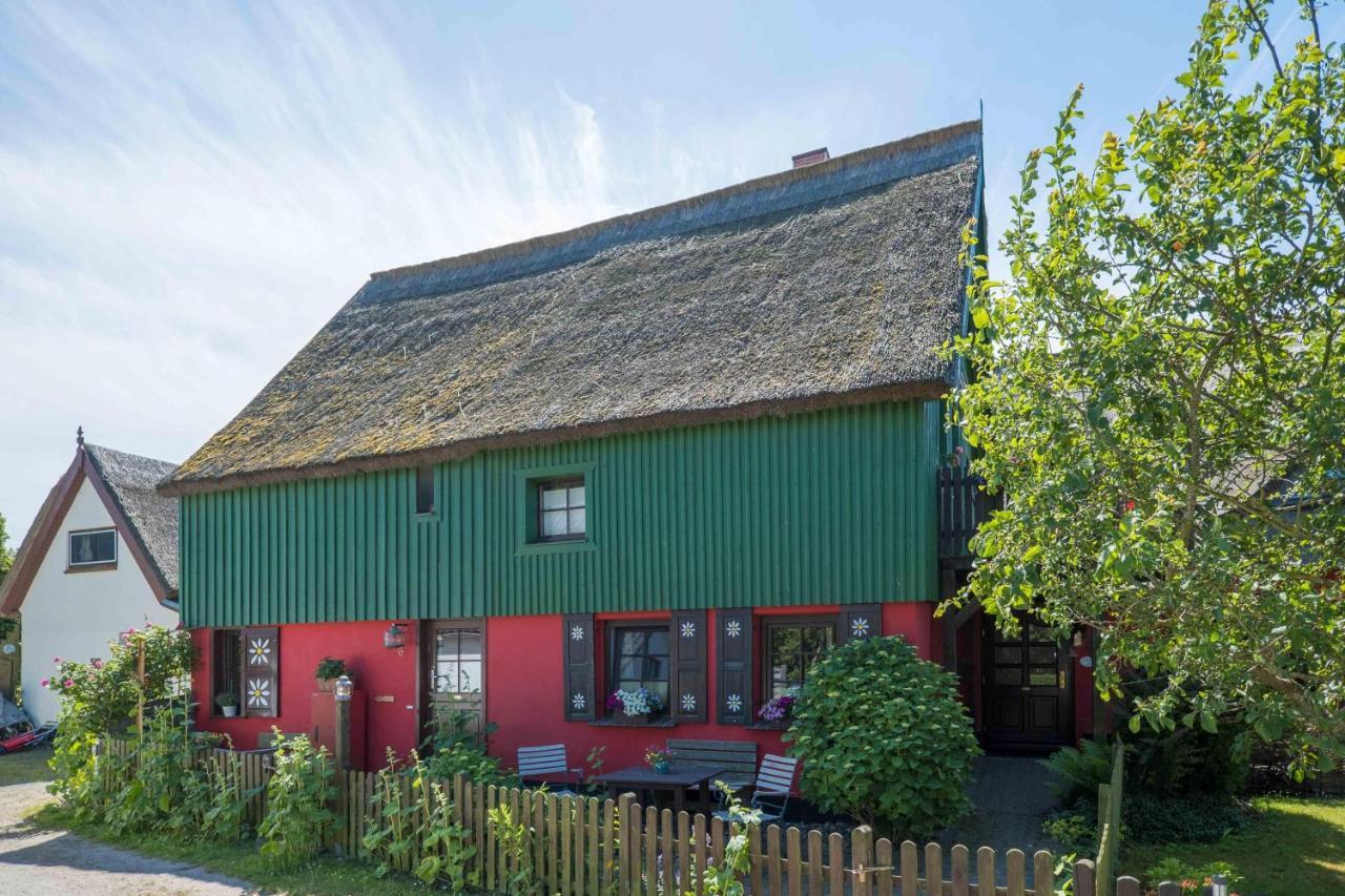 Toepferweg 06 Ferienwohnung Tine Ahrenshoop Εξωτερικό φωτογραφία
